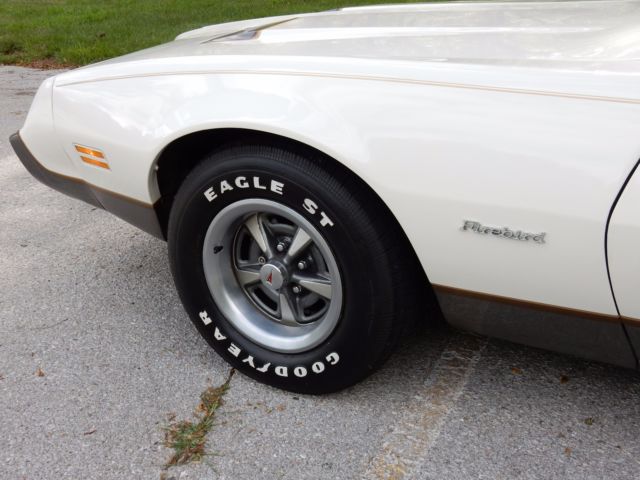 1979 Pontiac Firebird Formula Coupe 2-Door - photo 11