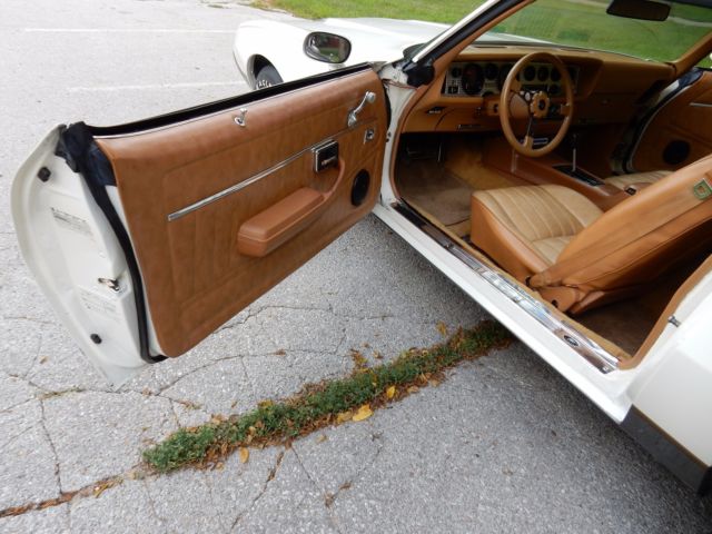 1979 Pontiac Firebird Formula Coupe 2-Door - photo 13