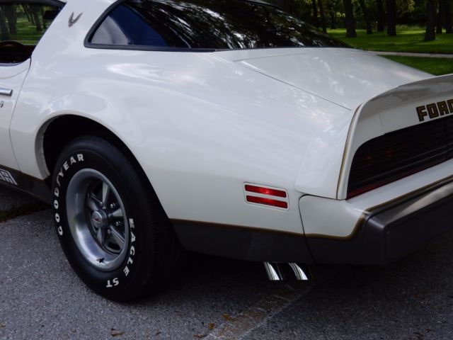 1979 Pontiac Firebird Formula Coupe 2-Door - photo 9