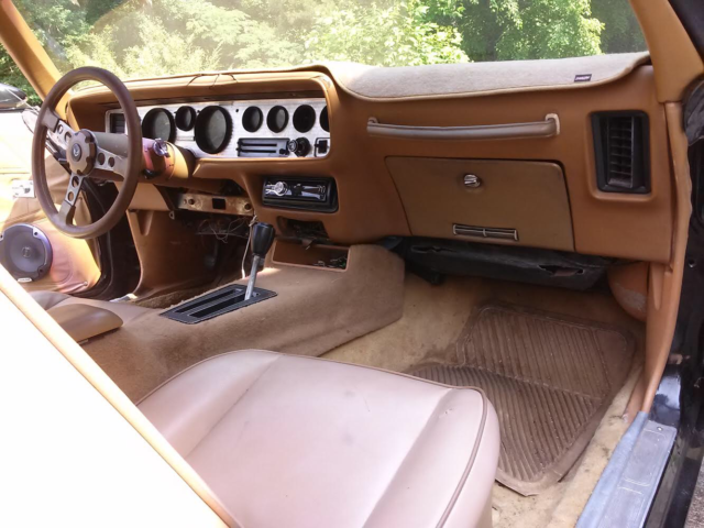 1979 Pontiac Firebird - photo 10