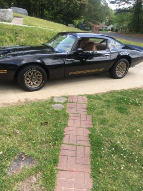 1979 Pontiac Firebird - photo 11