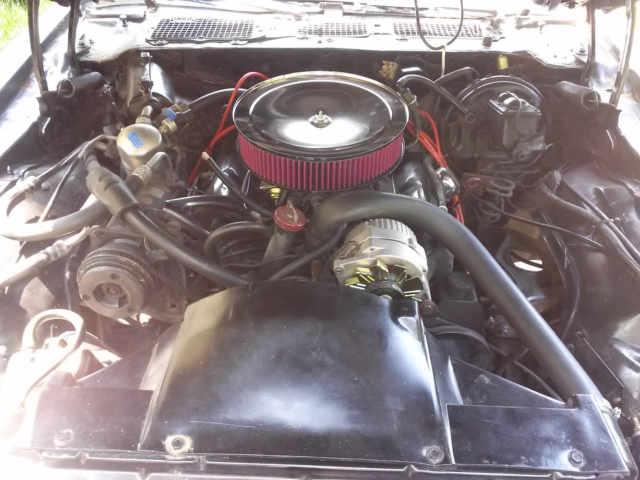 1979 Pontiac Firebird - photo 13