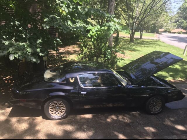 1979 Pontiac Firebird - photo 5