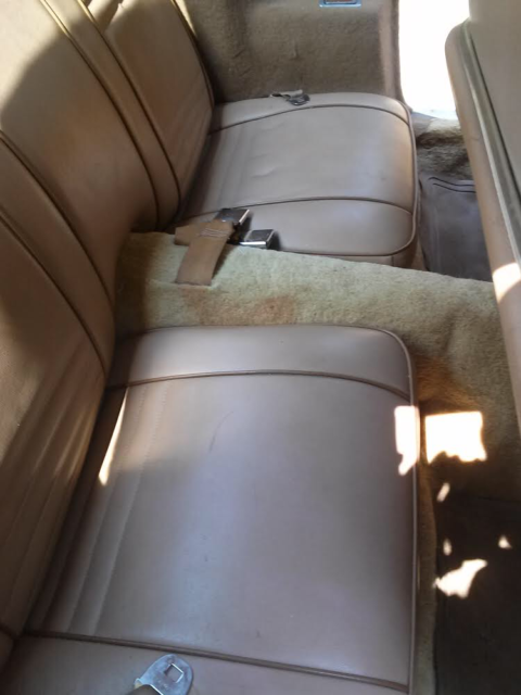 1979 Pontiac Firebird - photo 8