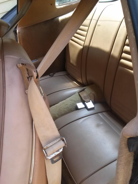 1979 Pontiac Firebird - photo 9