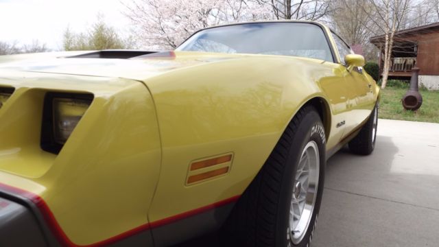 1979 Pontiac Firebird Formula - photo 7