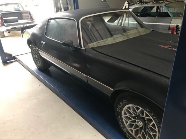 1979 Pontiac Firebird Optional Rear Spoiler - photo 2