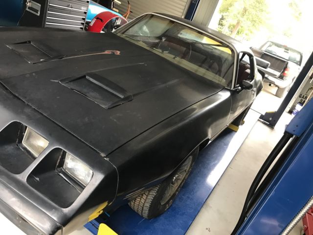 1979 Pontiac Firebird Optional Rear Spoiler - photo 3