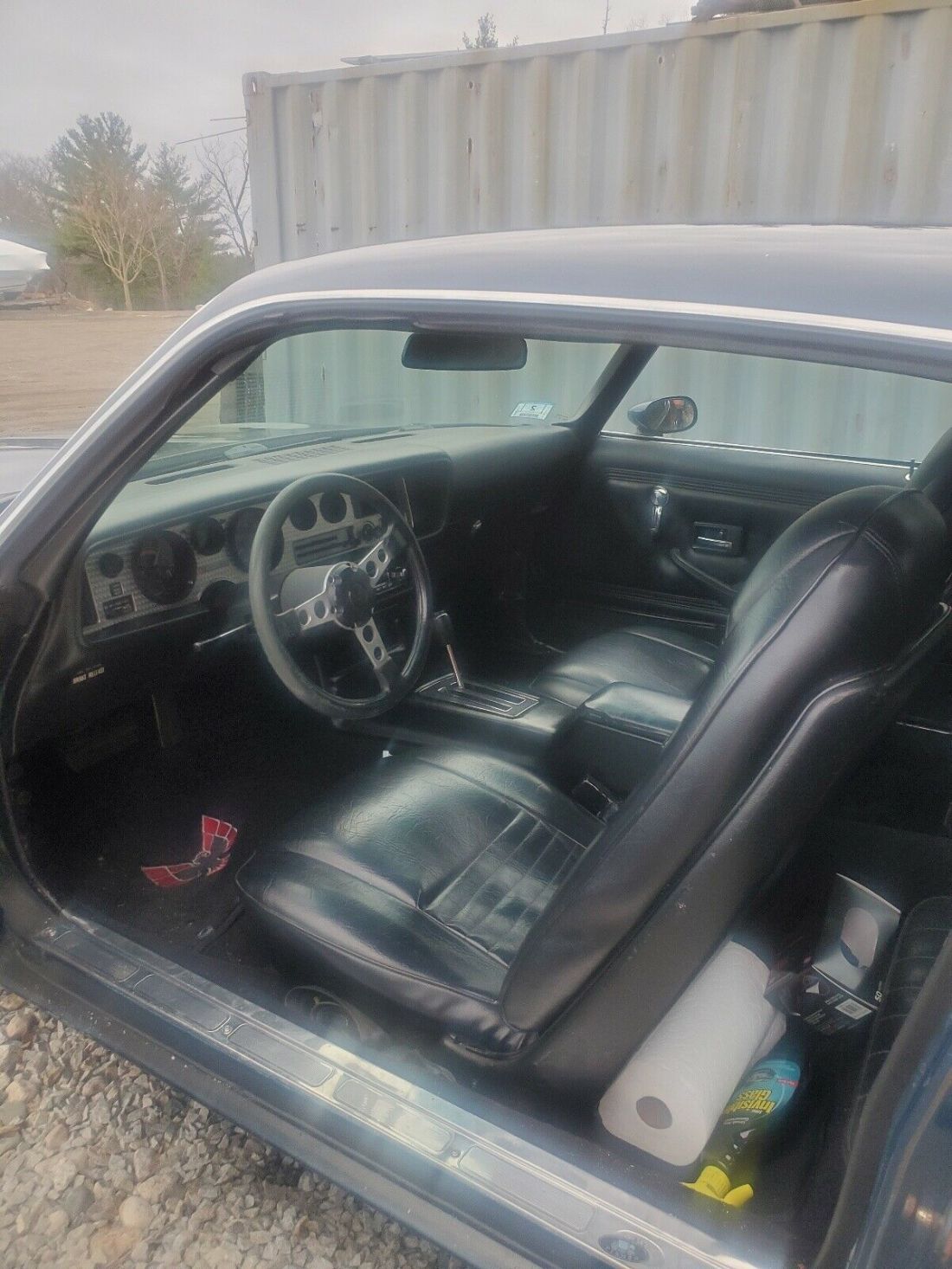 1979 Pontiac Firebird Formula standard - photo 10