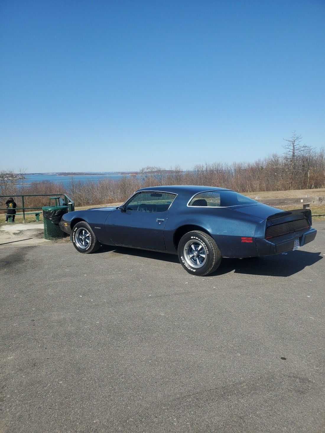 1979 Pontiac Firebird Formula standard - photo 2
