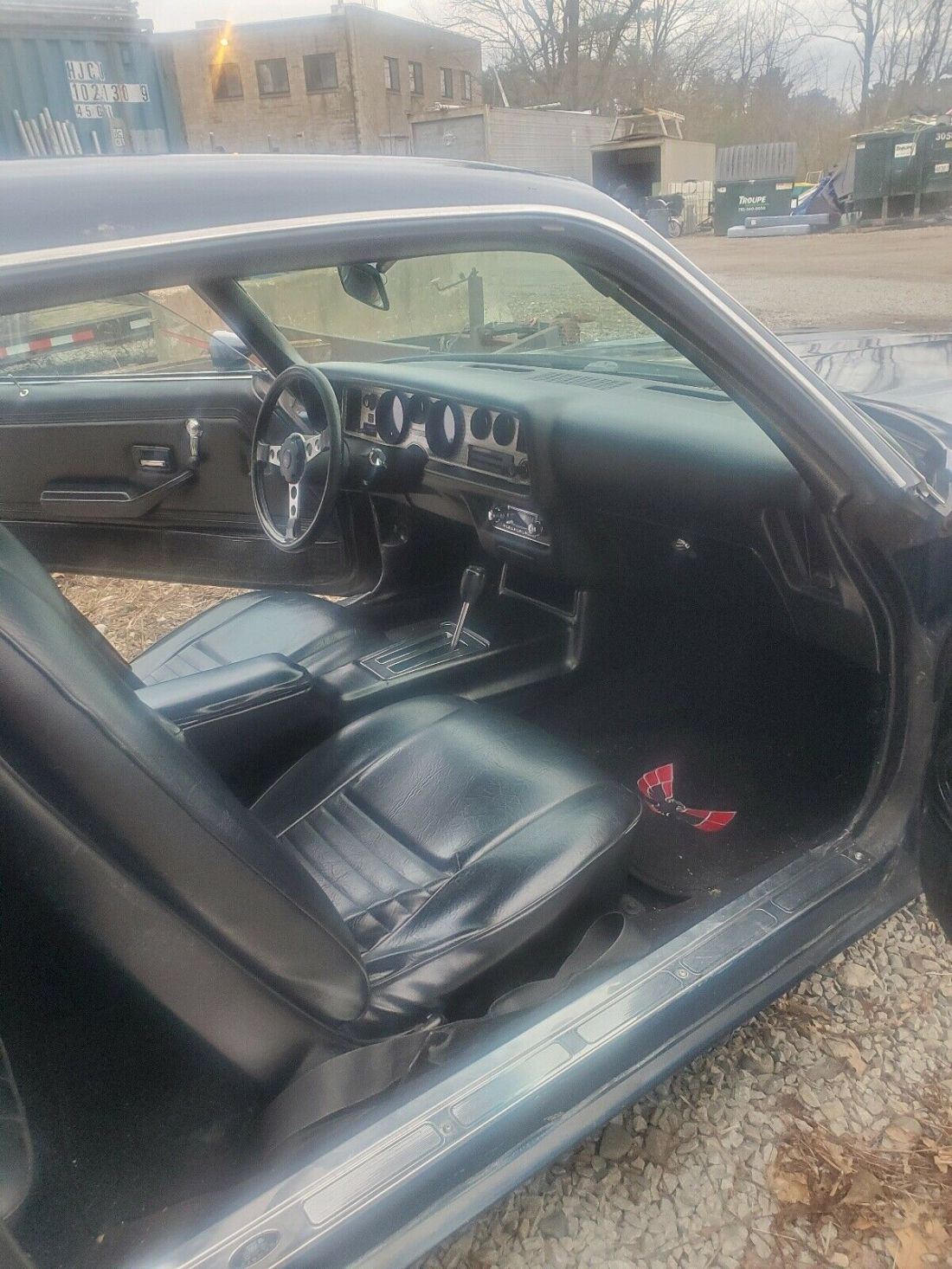 1979 Pontiac Firebird Formula standard - photo 9