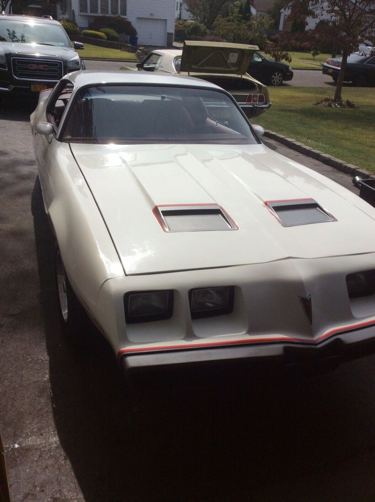 1979 Pontiac Firebird Formula Formula hardtop - photo 2