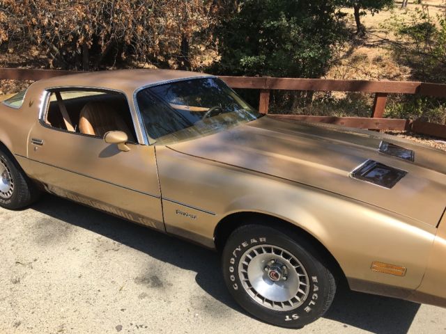 1979 Pontiac Firebird - photo 11