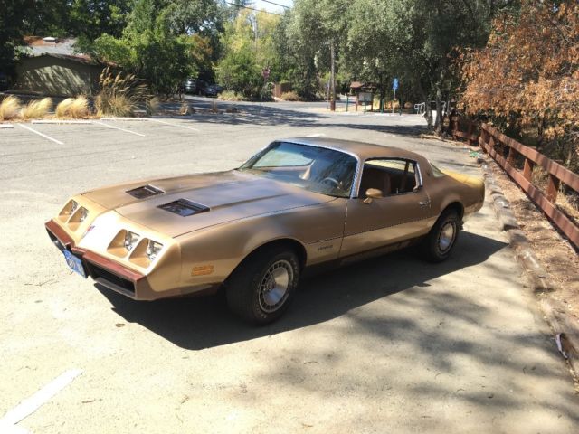 1979 Pontiac Firebird - photo 12