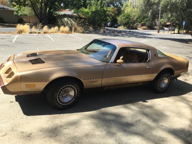 1979 Pontiac Firebird - photo 13