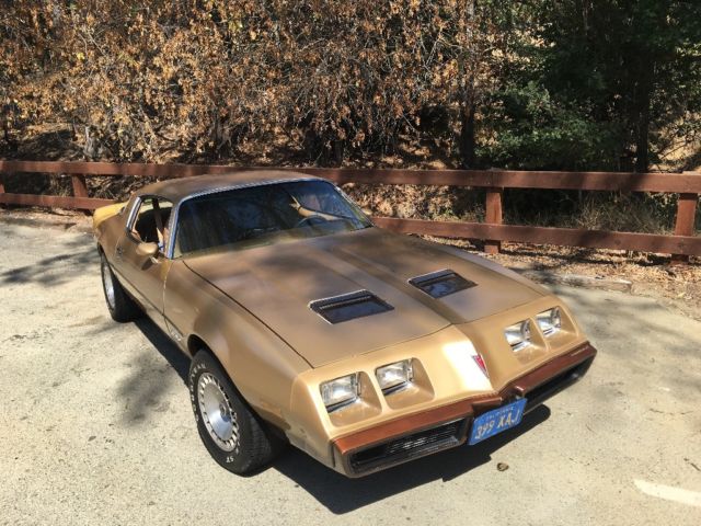 1979 Pontiac Firebird - photo 3
