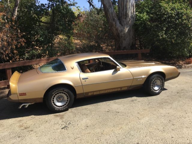 1979 Pontiac Firebird - photo 8