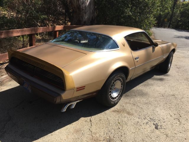 1979 Pontiac Firebird - photo 9