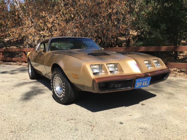 1979 Pontiac Firebird - photo 2