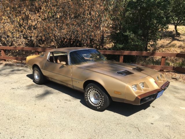 1979 Pontiac Firebird - photo 4