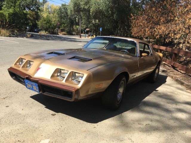 1979 Pontiac Firebird - photo 5
