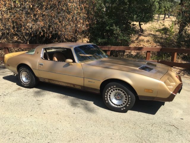 1979 Pontiac Firebird - photo 6