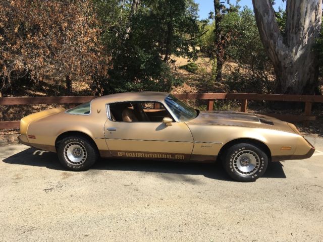 1979 Pontiac Firebird - photo 7
