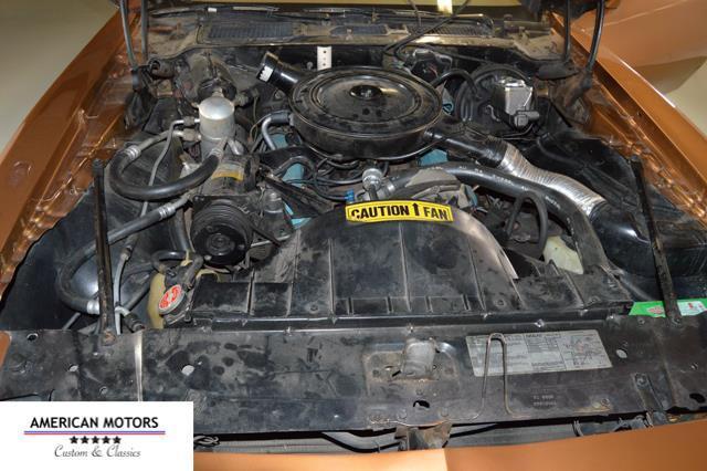 1979 Pontiac Firebird -- - photo 6