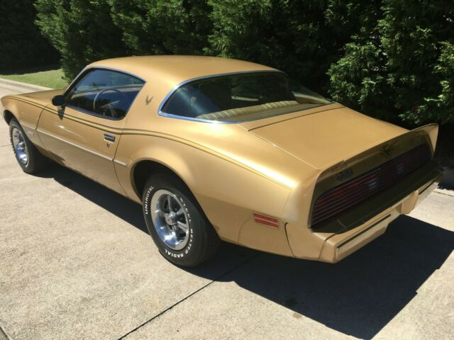1979 Pontiac Firebird - photo 11