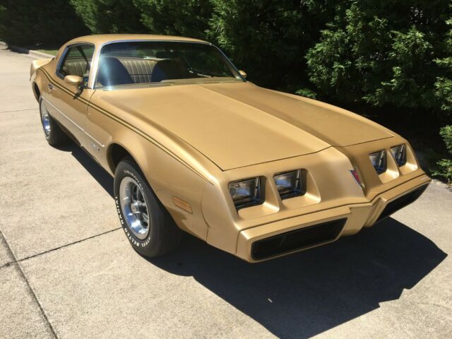 1979 Pontiac Firebird - photo 3