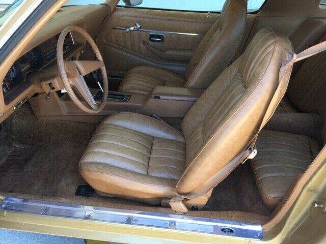 1979 Pontiac Firebird - photo 6