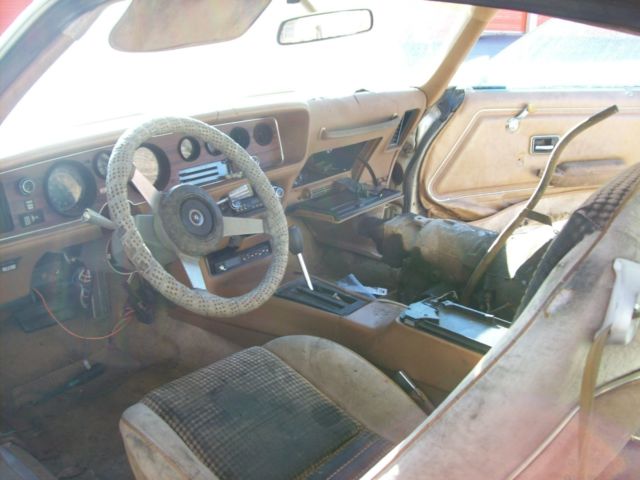 1979 Pontiac Firebird - photo 10