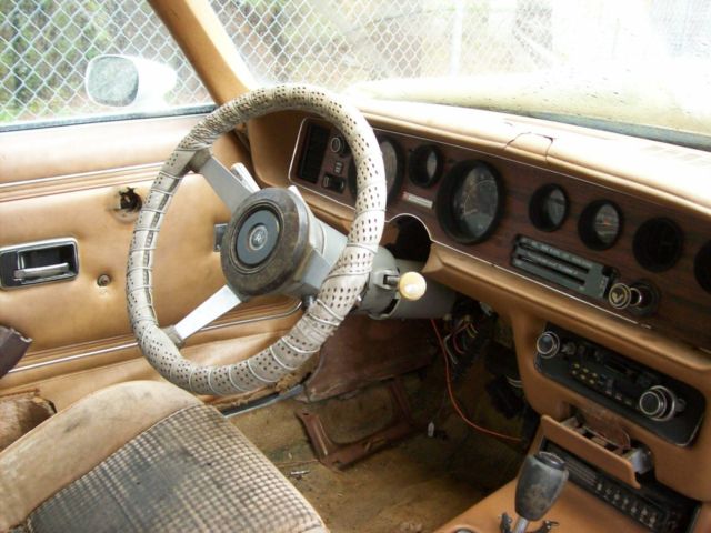 1979 Pontiac Firebird - photo 12