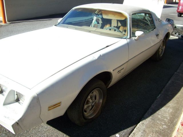 1979 Pontiac Firebird - photo 3