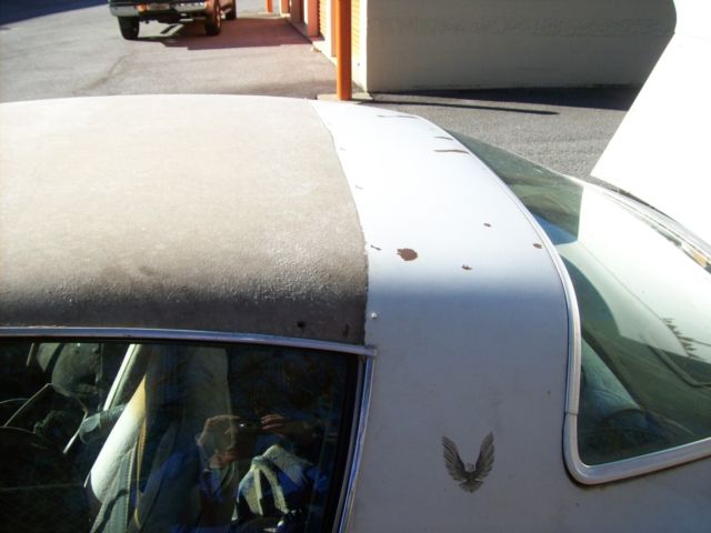 1979 Pontiac Firebird - photo 4
