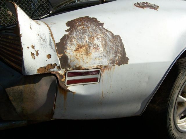 1979 Pontiac Firebird - photo 6