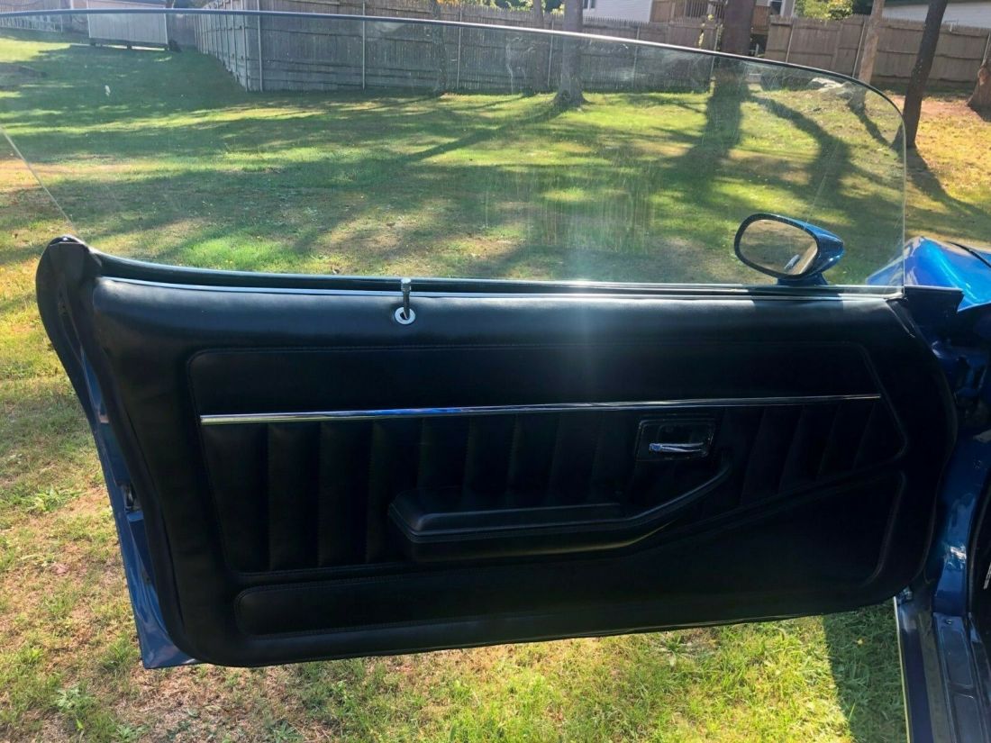 1979 Pontiac Firebird - photo 10