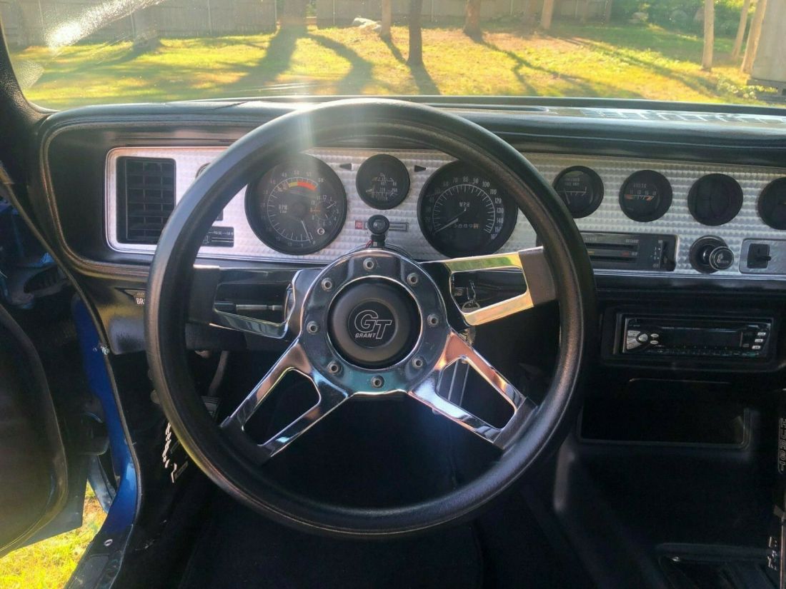 1979 Pontiac Firebird - photo 13