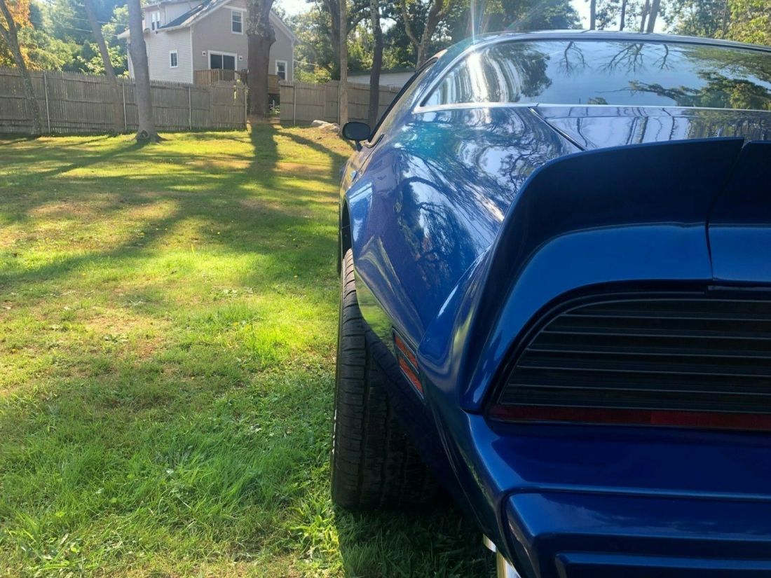1979 Pontiac Firebird - photo 4