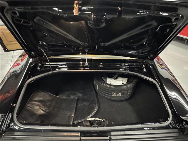 1979 Pontiac Trans Am Trans Am - photo 10