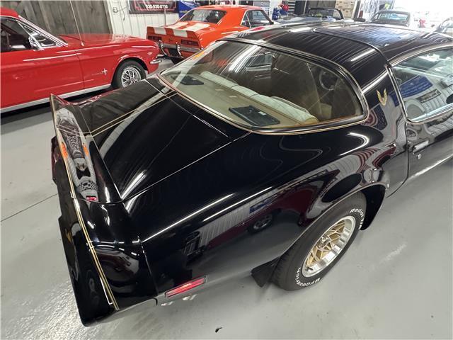 1979 Pontiac Trans Am Trans Am - photo 5