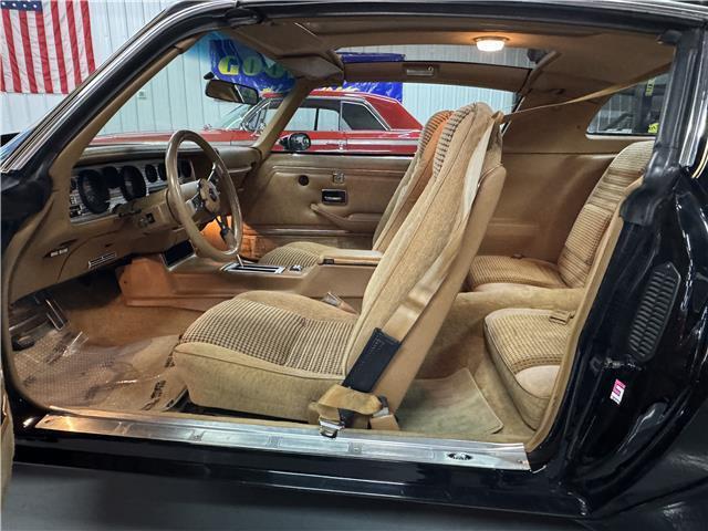 1979 Pontiac Trans Am Trans Am - photo 6