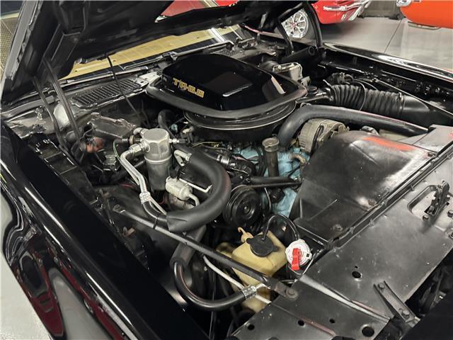 1979 Pontiac Trans Am Trans Am - photo 8