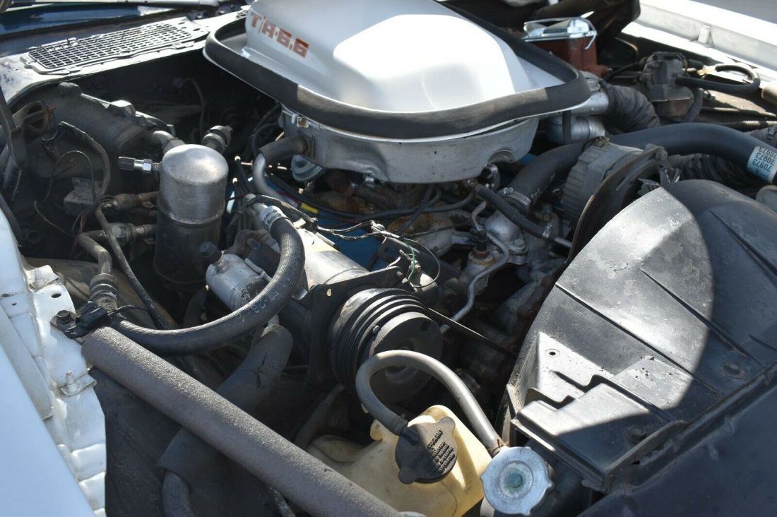 1979 Pontiac Trans Am - photo 9