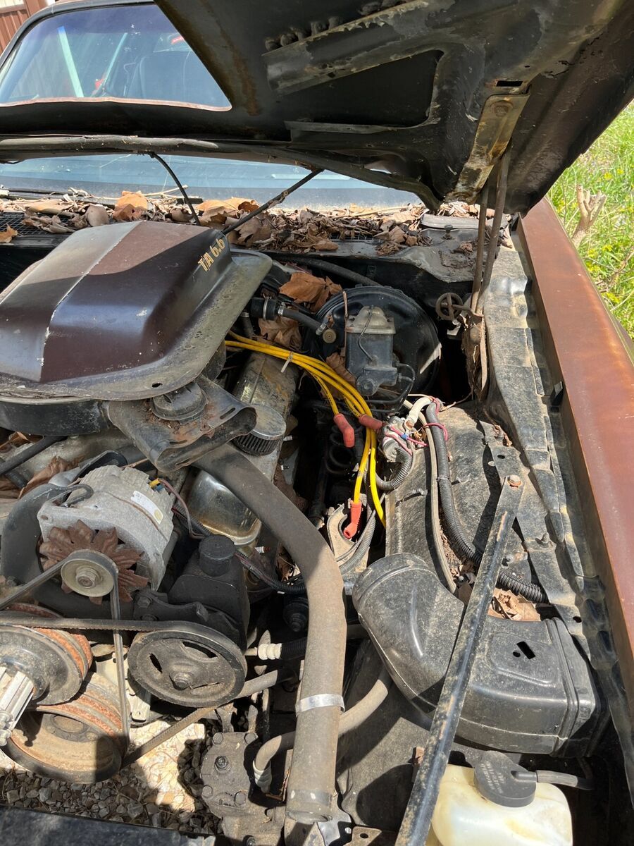 1979 Pontiac Firebird TA - photo 7