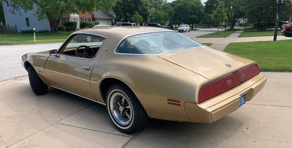 1979 Pontiac Firebird Base - photo 4