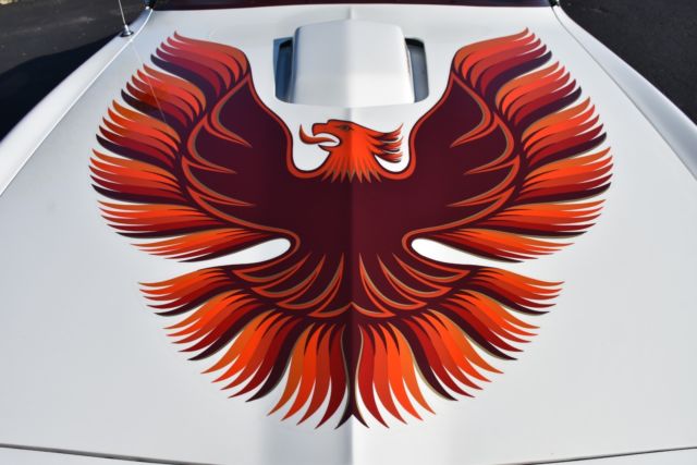 1979 Pontiac Firebird Trans Am - photo 10