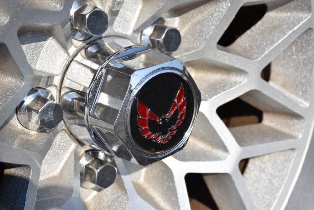 1979 Pontiac Firebird Trans Am - photo 10
