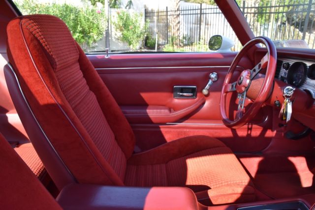 1979 Pontiac Firebird Trans Am - photo 13