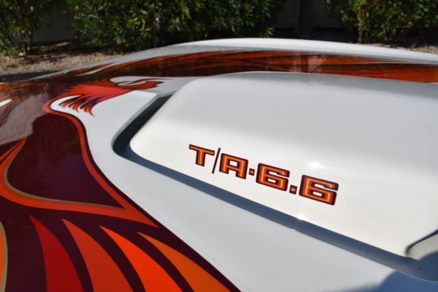 1979 Pontiac Firebird Trans Am - photo 4